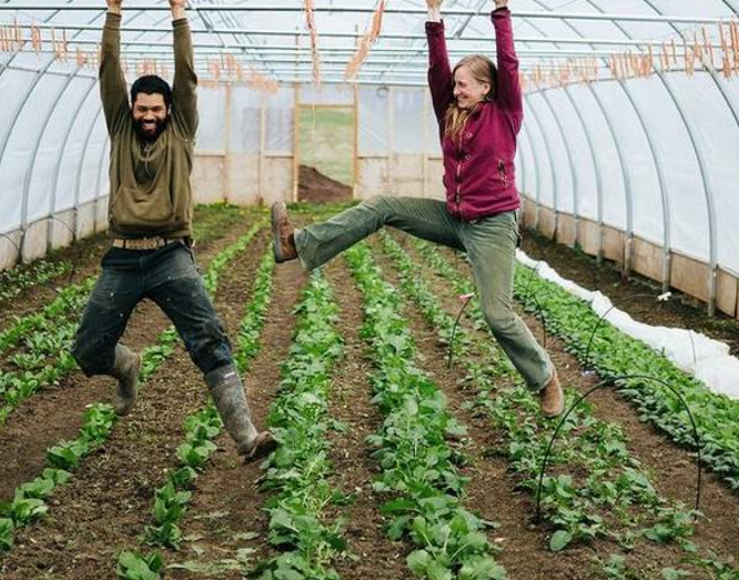 farm team working the soil